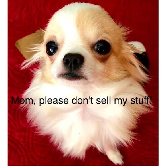 BARK BOX - NWT Dog Fun Bundle of 2 Toys & Bag of Soft Baked Treats. (Small Dogs) - Picture 2 of 14